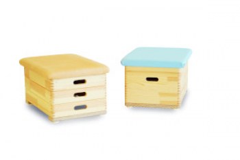 Sportgeräte Langer Sprungkasten, Kiefer 1-teilig, Kernrindleder I TOBA-Sport.Shop